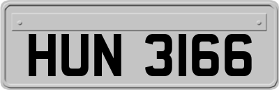 HUN3166