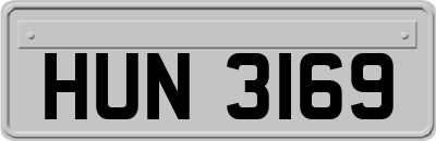 HUN3169