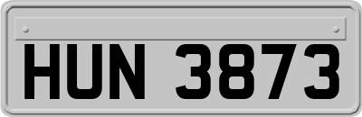 HUN3873