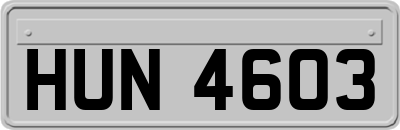 HUN4603