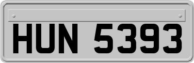 HUN5393