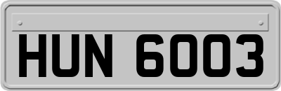 HUN6003