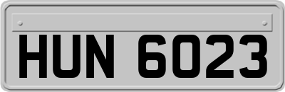 HUN6023