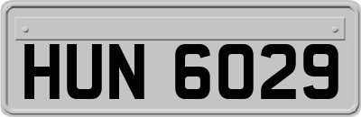 HUN6029