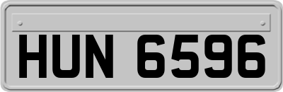 HUN6596