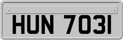 HUN7031