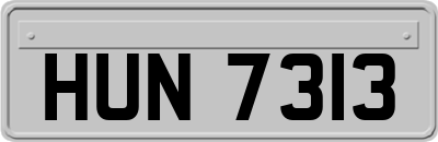 HUN7313