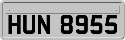 HUN8955