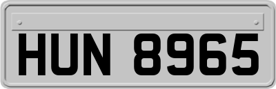 HUN8965