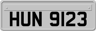 HUN9123