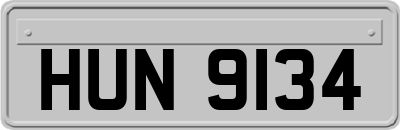 HUN9134