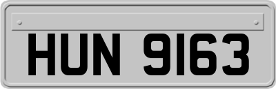 HUN9163