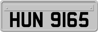 HUN9165