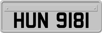 HUN9181