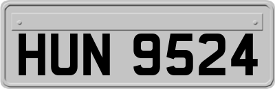 HUN9524