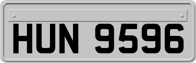 HUN9596