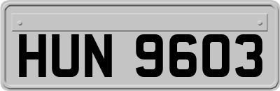 HUN9603