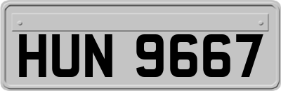 HUN9667