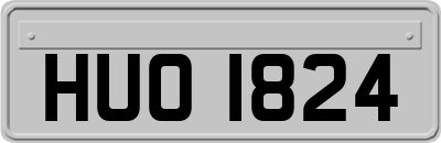 HUO1824