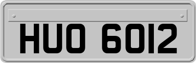 HUO6012