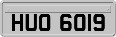 HUO6019