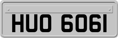 HUO6061