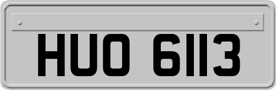 HUO6113