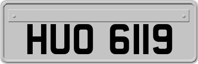 HUO6119