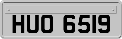 HUO6519