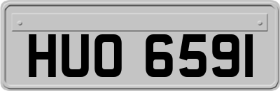 HUO6591