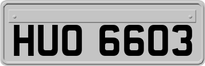 HUO6603