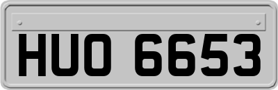 HUO6653