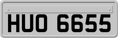 HUO6655