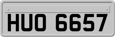 HUO6657