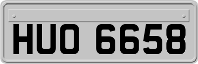 HUO6658