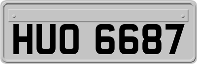 HUO6687