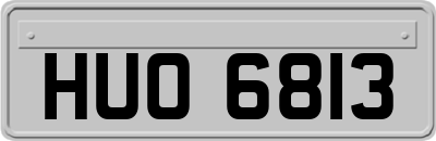 HUO6813