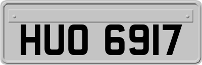 HUO6917