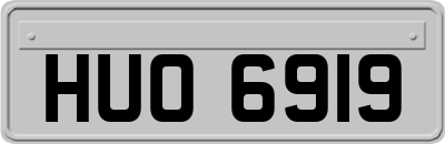 HUO6919