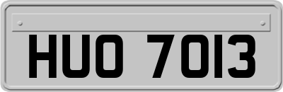 HUO7013