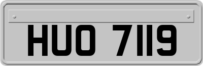 HUO7119