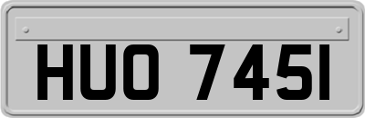 HUO7451