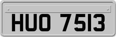 HUO7513