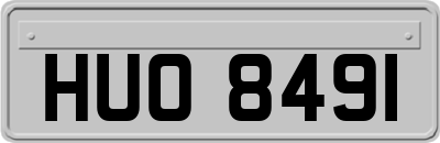 HUO8491