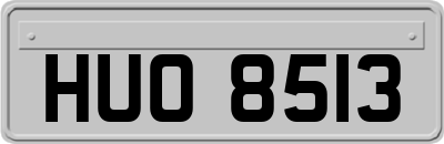 HUO8513