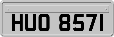 HUO8571