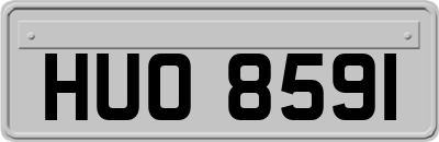 HUO8591