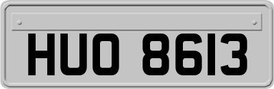 HUO8613