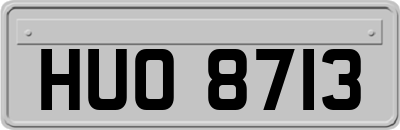 HUO8713