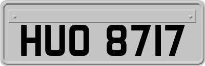 HUO8717